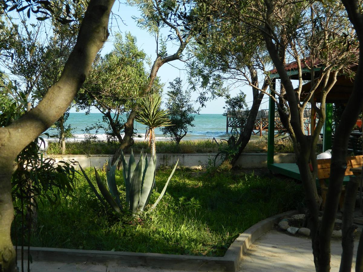 Mavi Dalga Beach Hotel Baku Exterior photo