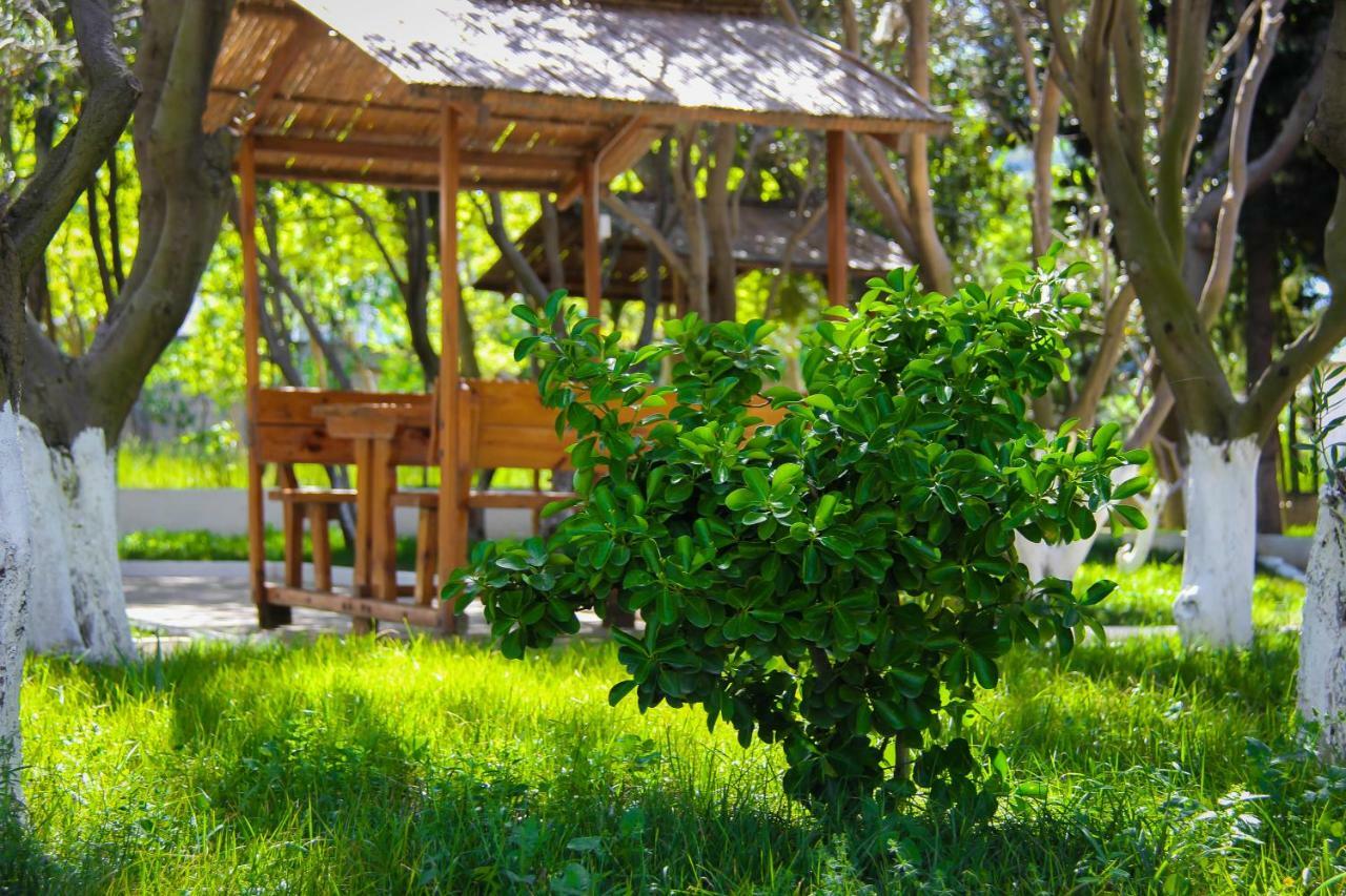 Mavi Dalga Beach Hotel Baku Exterior photo