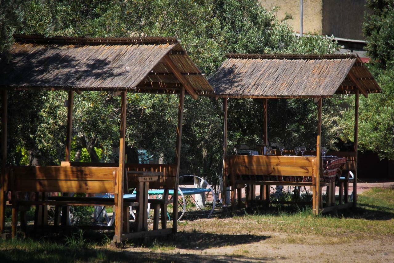 Mavi Dalga Beach Hotel Baku Exterior photo